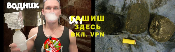 гашик Заводоуковск