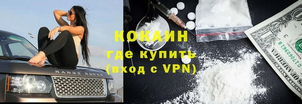гашик Заводоуковск