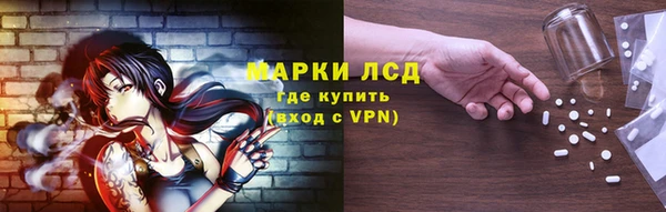 гашик Заводоуковск