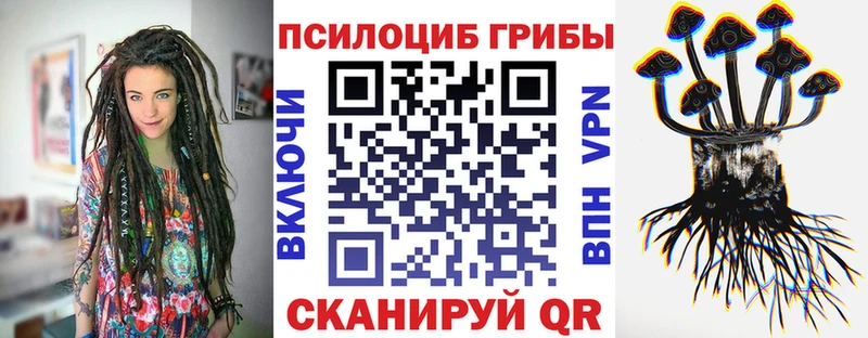 Псилоцибиновые грибы Magic Shrooms  Купить  Высоцк 